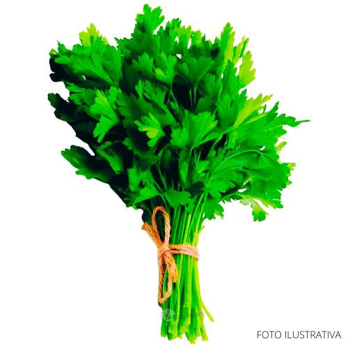 PARSLEY / PEREJIL - (pack)