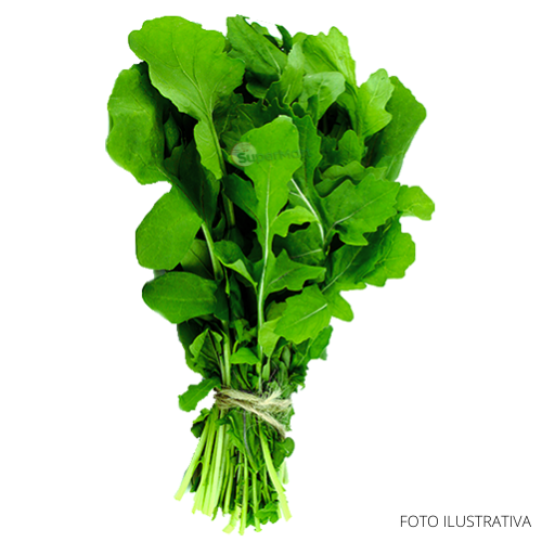 FRESH ARGULA (bundle)