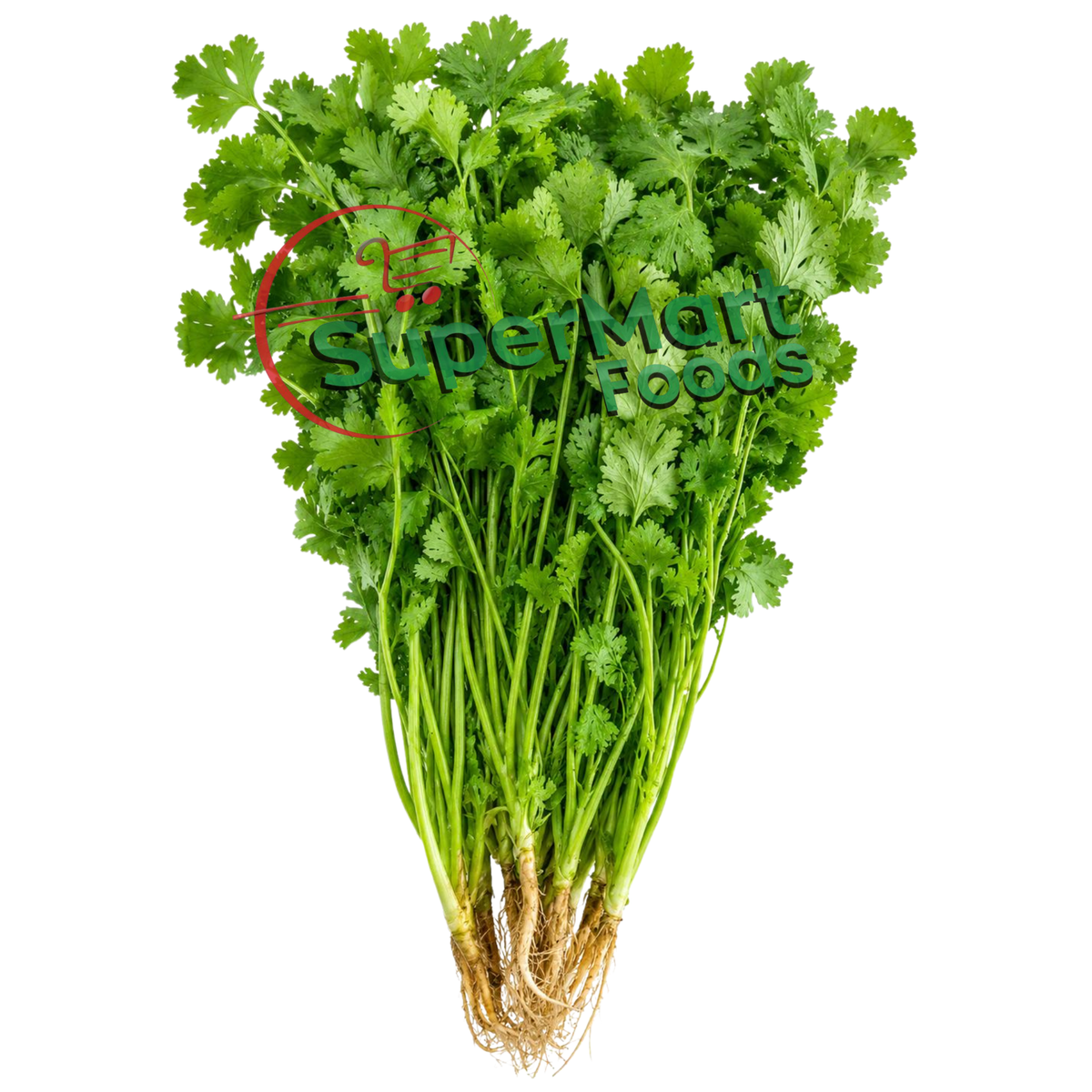 Cilantro Coentro (Maço) Fresh - SuperMart.japan