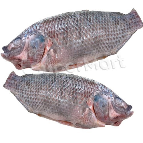 TILAPIA LIMPA INTEIRA 400~500g /Kg